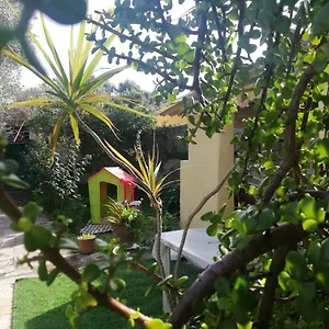 Casa vacanze Sa Domu Antiga, Solarussa
